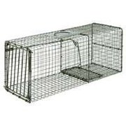 Duke Traps DUKE TRAPS 1112 Cage Trap, 1-Door, Steel 1112